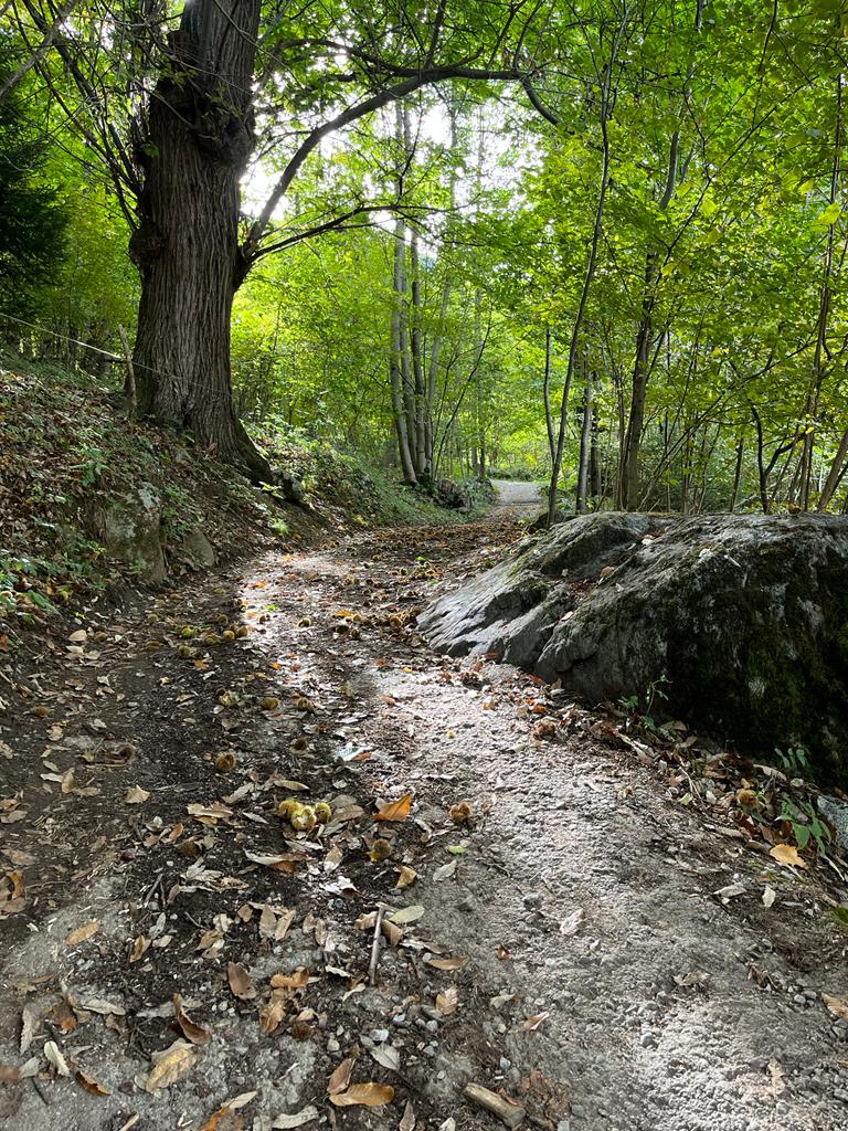 Come attrarre abbondanza