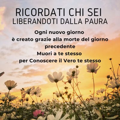 xr:d:DAFhISzdKPo:26,j:3569671433,t:23042720